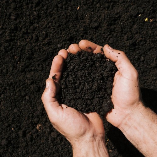 Signature by RINNEE’ Product Gallery — Natural & Eco-Friendly Range